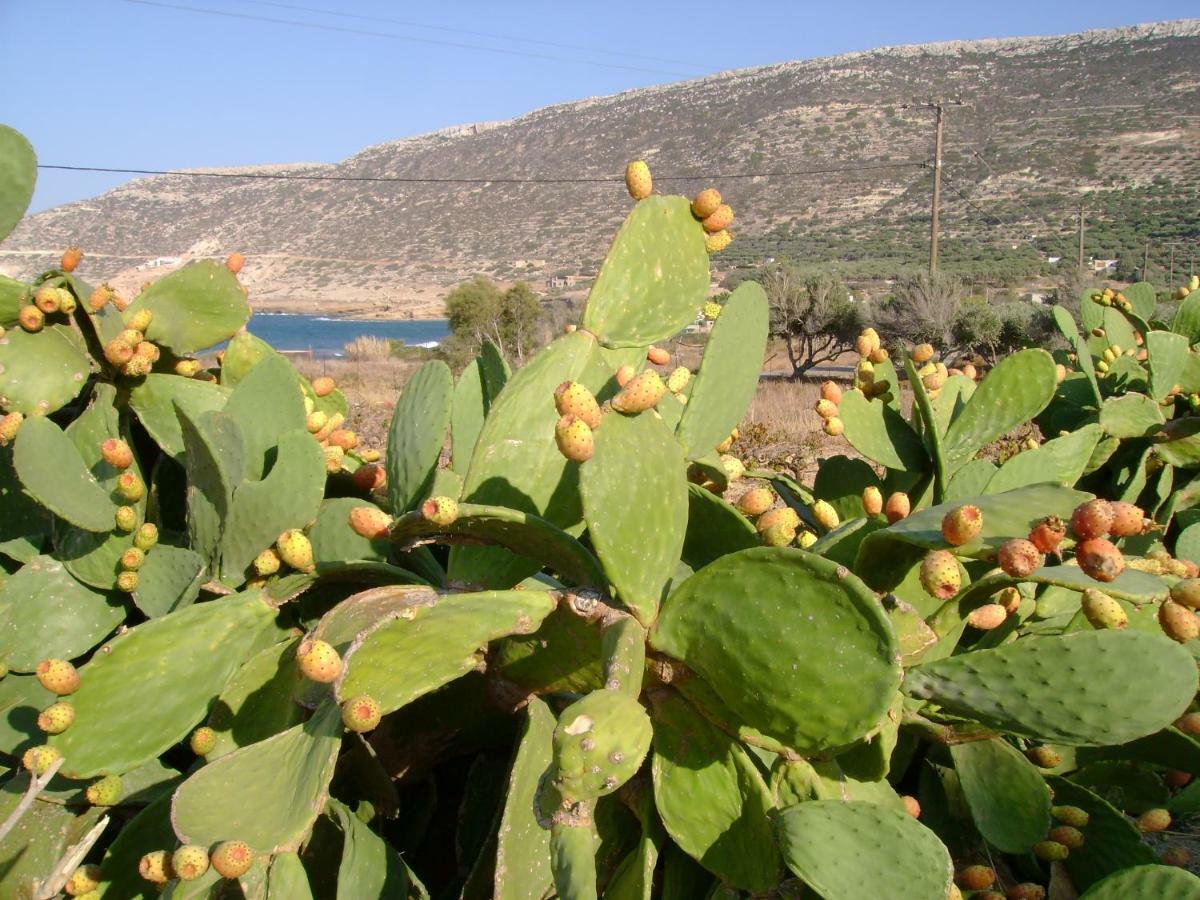 Papadiokampos Maissonete Roussa Limni Экстерьер фото